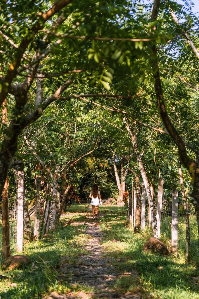 Garden path through the property