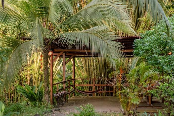 Hammock deck in the rainforest